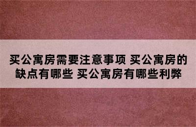 买公寓房需要注意事项 买公寓房的缺点有哪些 买公寓房有哪些利弊